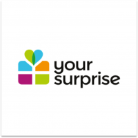 Your Surprise logo voor Exact Online Scan & Herken pagina
