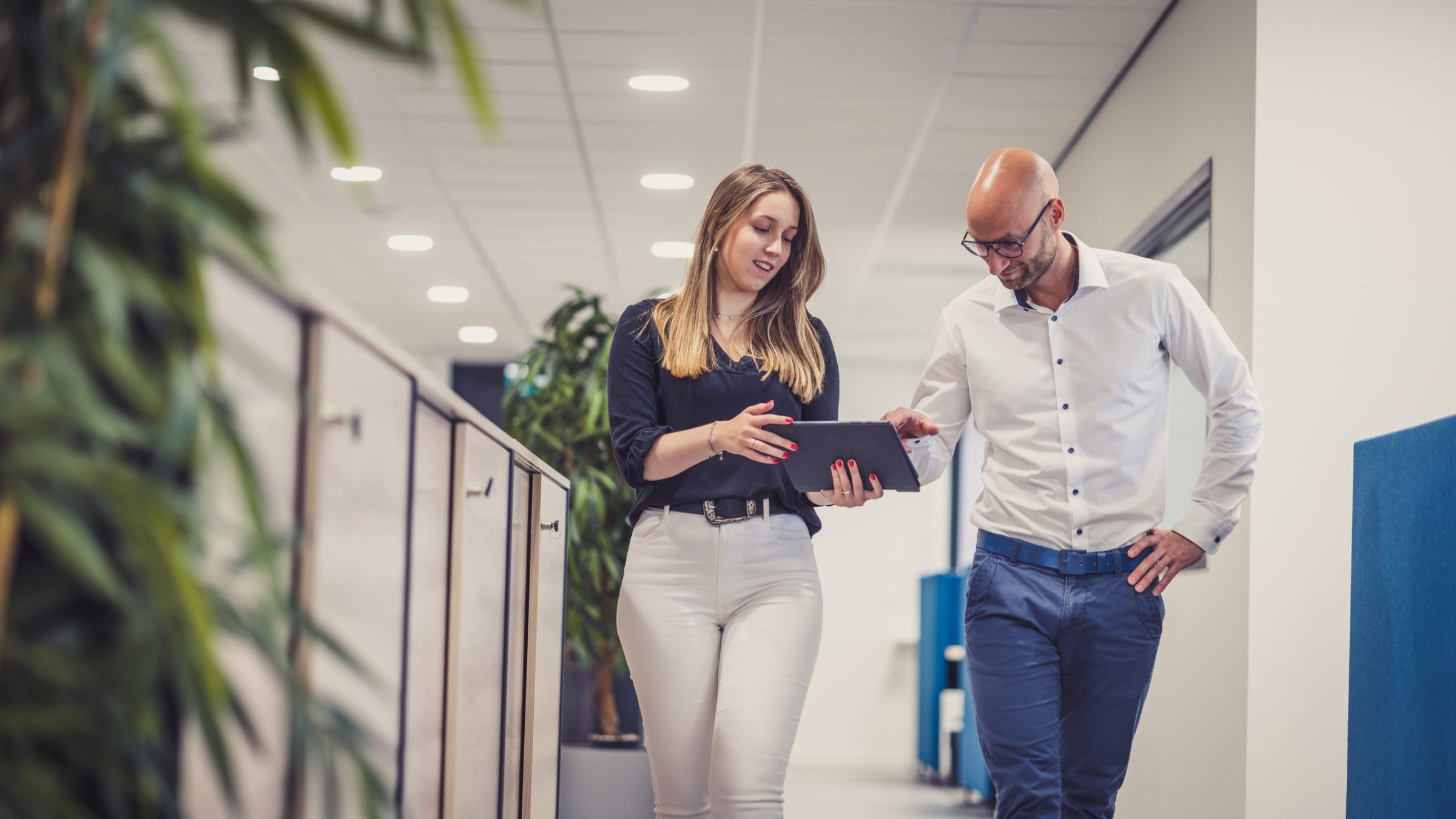 ZMGroep, employees look at a tablet together